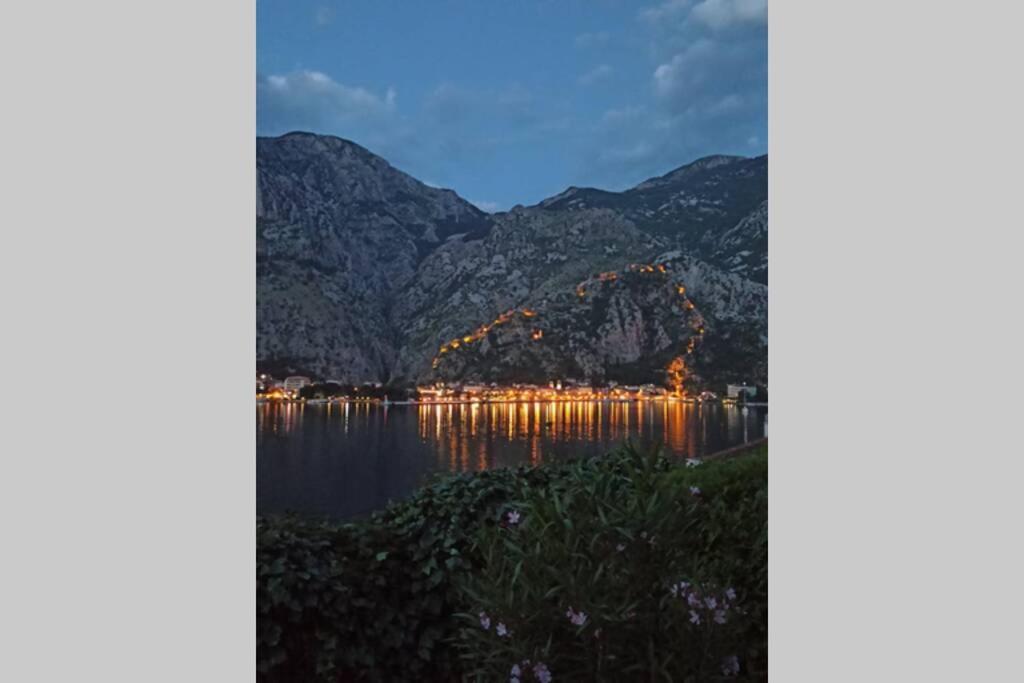 Chillout Apartment In Kotor Bay Eksteriør billede